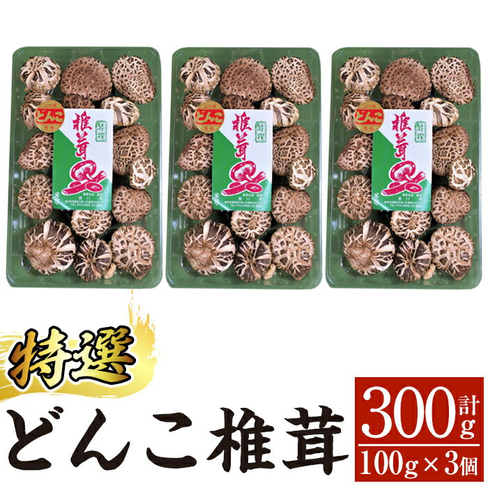 【ふるさと納税】特選！どんこ椎茸(100g×3個) 霧島市 国産 野菜 きのこ キノコ 椎茸 しいたけ シイタケ 原木栽培 小分け セット 九州産 【かごジン】