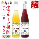 【ふるさと納税】生フルーツ黒酢セット(各500ml)桷志田(かくいだ)の長期熟成黒酢を使用したフルーツビネガー！ブルーベリーとりんごの2..