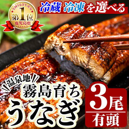 ＜冷蔵 冷凍を選べる＞霧島市育ちのあの「うなぎ」150～170g×3尾！鰻 ウナギ 蒲焼き 蒲焼 国産【田代水産】