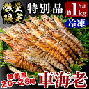 【ふるさと納税】＜数量限定！特別品＞冷凍車えび特大サイズ1kg(20～28尾) 冷凍 エビ えび 海老 車海老 く