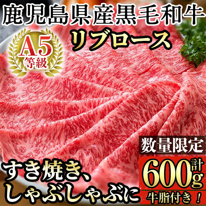 【ふるさと納税】＜数量限定！＞鹿児島県産黒毛和牛リブロース肉600g(A-5等級)国産 牛肉 鹿児島県産 黒毛和牛 肉 精肉 牛 すき焼き しゃぶしゃぶ A5等級【九面屋】のサムネイル