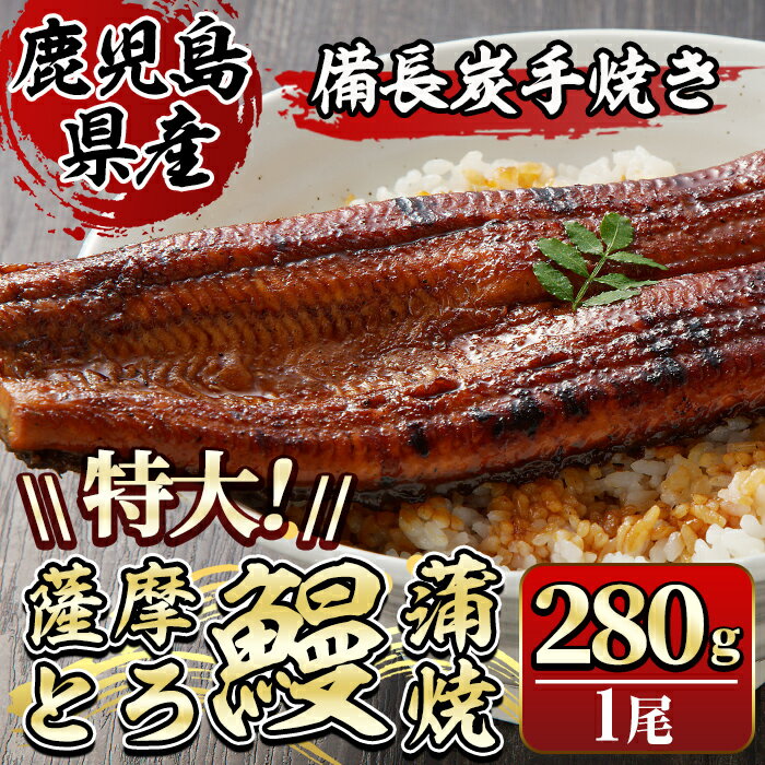 薩摩とろ鰻蒲焼特大サイズ(1尾:280g) うなぎ ウナギ 蒲焼き 蒲焼 かばやき タレ 鹿児島 国産 冷凍[株式会社志]