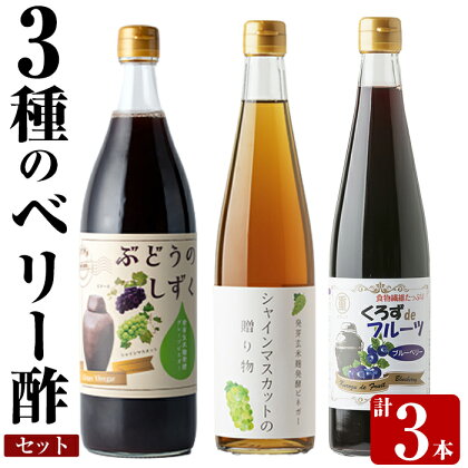 3種のベリー酢(ピオーネ・シャインマスカット・ブルーベリー)飲み比べセット(計3本)お酢 調味料 黒酢ドリンク ビネガー セット 重久本舗【重久盛一酢醸造場】