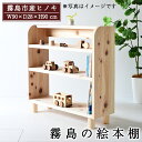 【ふるさと納税】国産!霧島の絵本棚(1台)霧島ヒノキと大川家具のコラボ商品!霧島市産ヒノキを無垢の天板として使用した無垢材ラック!組立設置込でお届け【井上企画】