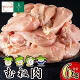 ڤդ뤵ǼǡۡԿӤɤդ(2kg4ޡ8kg)γȯ۲Ļùޤǰ층줿¿ʥإ륷ڥեա