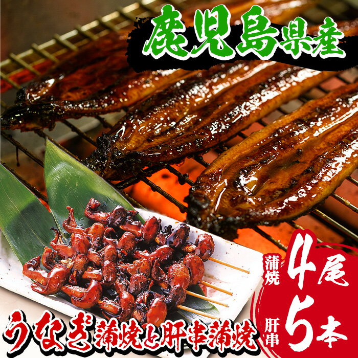 鹿児島県産うなぎ蒲焼き(大サイズ4尾・計約640g)とうなぎ肝串蒲焼(5本)!国産 国産魚 九州産 鹿児島県産 魚 魚介 鰻 うなぎ ウナギ 蒲焼 蒲焼き 惣菜 冷凍 串 肝 内臓[南竹鰻加工]