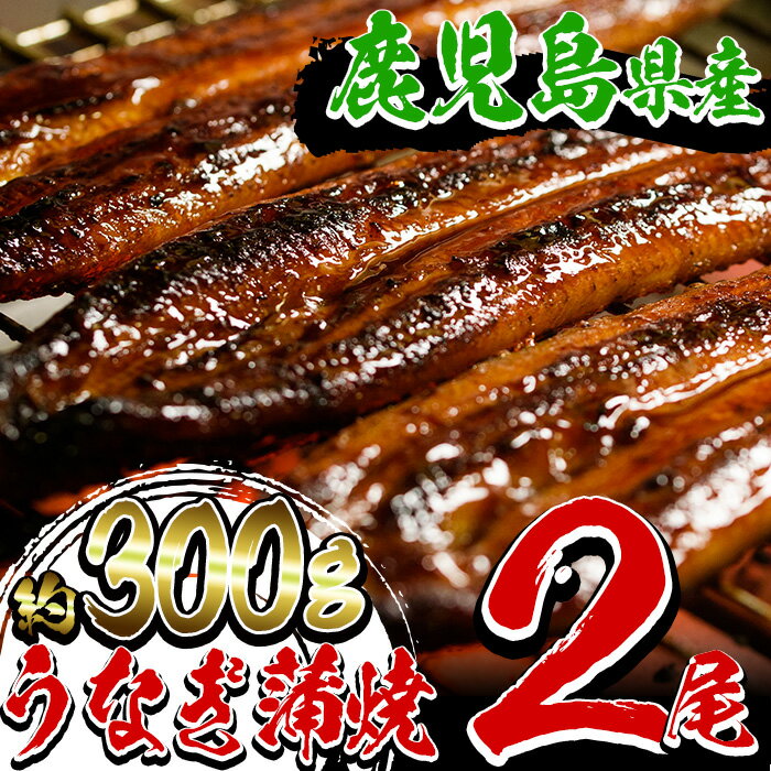 20位! 口コミ数「0件」評価「0」鹿児島県産うなぎ蒲焼2尾(約300g)国産 国産魚 九州産 鹿児島県産 魚 魚介 鰻 うなぎ ウナギ 蒲焼 蒲焼き 惣菜 冷凍 【南竹鰻加工･･･ 