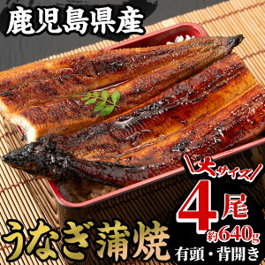 【ふるさと納税】<期間・数量限定>国産うなぎ(鹿児島県産うなぎ)蒲焼(4尾・約640g) 国産 国産魚 九州産 鹿児島県産 魚 魚介 鰻 うなぎ ウナギ unagi 蒲焼 蒲焼き 惣菜 冷凍【南竹鰻加工】