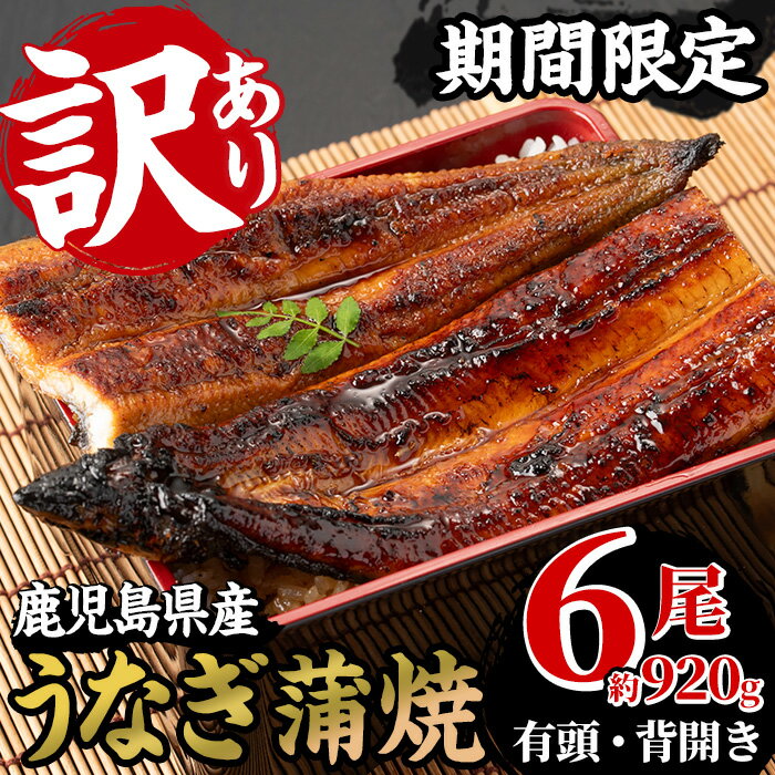 【ふるさと納税】＜訳あり・期間限定＞鹿児島県産うなぎ蒲焼6尾！国産 国産魚 九州産 鹿児島県産 魚 鰻 うなぎ 蒲焼 蒲焼き 訳あり 訳アリ 規格外 限定 惣菜 冷凍 【南竹鰻加工】のサムネイル