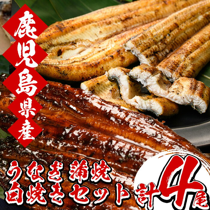 鹿児島県産うなぎの蒲焼・白焼き各2尾(合計4尾・計約620g、タレ付)食べ比べ 堪能 セット国産 国産魚 九州産 鹿児島県産 魚 魚介 鰻 うなぎ ウナギ 蒲焼 蒲焼き 惣菜 冷凍 【南竹鰻加工】