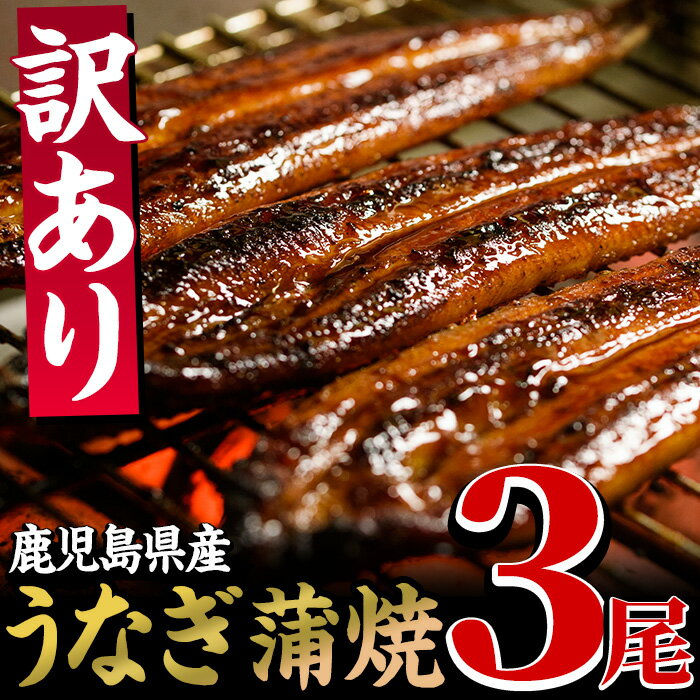 【ふるさと納税】＜訳あり＞鹿児島県産うなぎ蒲焼3尾(約400g)国産 国産魚 九州産 鹿児島県産 魚 魚介 魚介類 鰻 うなぎ 蒲焼 蒲焼き 訳あり 訳アリ 規格外 惣菜 冷凍【南竹鰻加工】