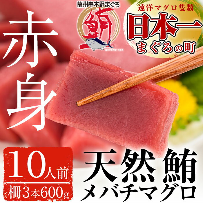 【ふるさと納税】＜2019年2月より順次発送＞天然メバチマグロをどっさり600g(10人前)！天然マグロをまぐろの町いちき串木野から！お刺身や漬けに♪【濱田水産】