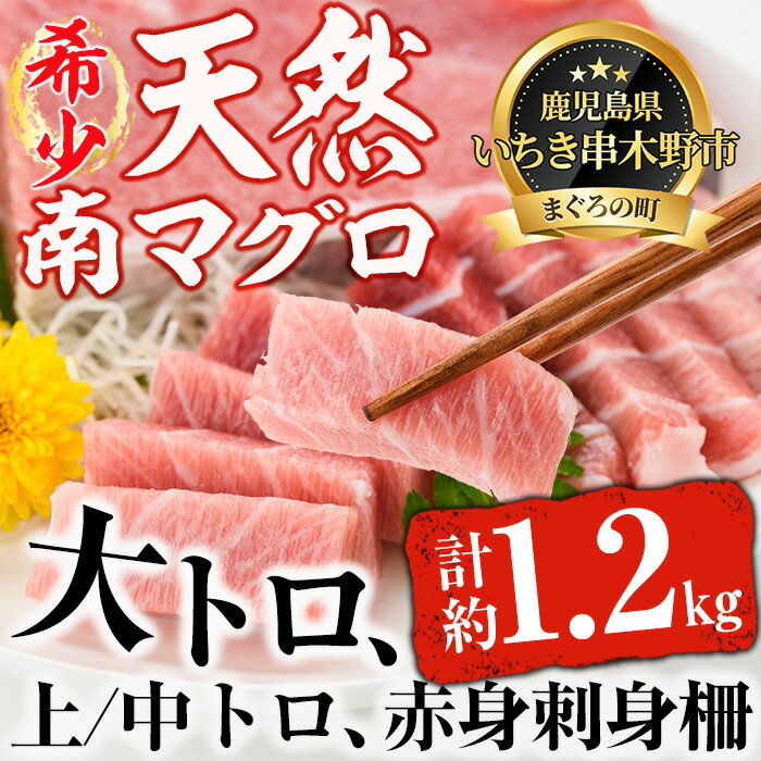 南マグロ極上セット！大とろ・上とろ・中とろ・赤身の鮪刺身用柵(計約1.2kg)！希少な南まぐろの大トロや上トロ、中トロ、赤身を刺身用サクでお届け 【新洋水産】