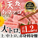 南マグロ極上セット！大とろ・上とろ・中とろ・赤身の鮪刺身用柵(計約1.2kg)！希少な南まぐろの大トロや上トロ、中トロ、赤身を刺身用サクでお届け 