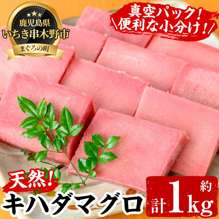 天然キハダマグロ(約1kg)柵でお届け！肉厚のお刺身や海鮮丼に！まぐろ 鮪 魚介 刺し身【海鮮まぐろ家】