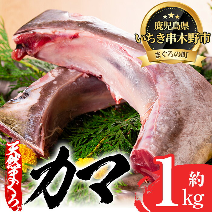 【ふるさと納税】キハダマグロ(もしくはメバチマグロ)のカマ約1kg！炙り焼きや煮物におすすめ！【海鮮...