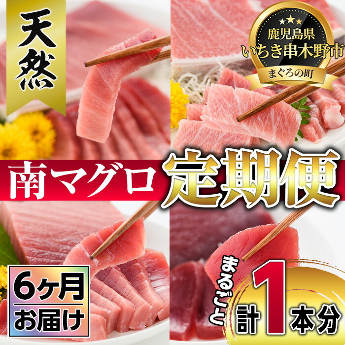 製品仕様 配送について 初回は入金確認後40日以内に発送させていただきます。 商品名 【定期便】南マグロ丸ごと1本 名称 まぐろ 原材料名 まぐろ 内容量 南マグロ 合計1本分 大トロ〜赤身まで4〜6kgのセットにして6ヶ月間毎月お届け 賞味期限 2週間～3週間程度 保存方法 冷凍保存 製造者 新洋水産 （鹿児島県いちき串木野市） 商品説明 南氷洋近くの極寒の荒れた海域即ち南緯45°以南の西風皮流帯にしか生息していなく、水温10度前後の冷水海域の厳しい海域で育った鮪が「南まぐろ」です。 年間鮪水揚げ量のわずか約4%しか流通されておらずいわば幻のまぐろとされております。漁師仲間では、赤いダイヤとも呼ばれており、一般流通はあまりされていなく、高級料亭や高級すし店等で利用されています。 その南まぐろを今回いちき串木野市から、ふるさとへ納税された方へ、特別のお計らいでご提供致します。 最上級の味をどうぞご堪能くださいませ。 ・ふるさと納税よくある質問はこちら・寄附申込みのキャンセル、返礼品の変更・返品はできません。あらかじめご了承ください。寄附金の使い道について 「ふるさと納税」寄附金は、下記の事業を推進する資金として活用してまいります。 寄附を希望される皆さまの想いでお選びください。 (1) 産業の振興・地域活性化 (2) 健康・福祉の充実 (3) 教育・文化・スポーツの振興 (4) 環境・景観の保全 特にご希望がなければ、市政全般に活用いたします。 受領証明書及びワンストップ特例申請書について 入金確認後、注文内容確認画面の【注文者情報】に記載の住所にお送りいたします。 発送の時期は、寄附確認後30日以内を目途に、お礼の特産品とは別にお送りいたします。 ワンストップ特例制度は、より簡単に税金控除の申請が行える、大変便利な制度です。 適用条件やご利用方法のご案内はこちら からご確認ください。