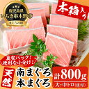 【ふるさと納税】《木箱入り》究極の天然高級南マグロ・本マグロ (大トロ・中トロ)セット(各約200g・合計800g超) まぐろ 鮪 本まぐろ 南まぐろ 魚介 海...