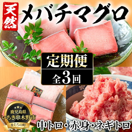 ＜定期便・全3回(毎月)＞天然メバチマグロ！中トロ・赤身・ネギトロ(総量1.8kg)まぐろ 鮪 刺身 海鮮丼 海鮮 魚介 タタキ さかな【海鮮まぐろ家】