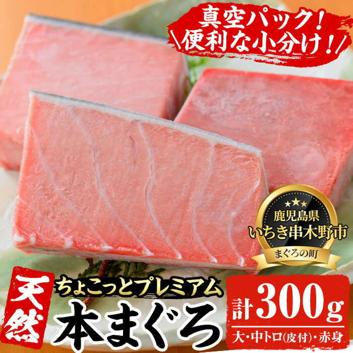 [ちょこっとプレミアム]天然本まぐろフルセット(計300g) 100g柵でお届け!肉厚のお刺身や海鮮丼に!まぐろ 鮪 魚介 刺し身 刺身 さしみ 海鮮丼 本マグロ 小分け 便利 冷凍 新鮮[海鮮まぐろ家]