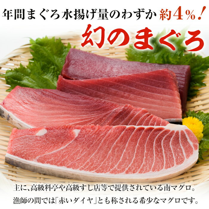 【ふるさと納税】南マグロ味わいセット！中トロと赤身の鮪の刺身用柵(計約400g)希少な南まぐろの中とろと赤身を刺身用サクでお届け【新洋水産】