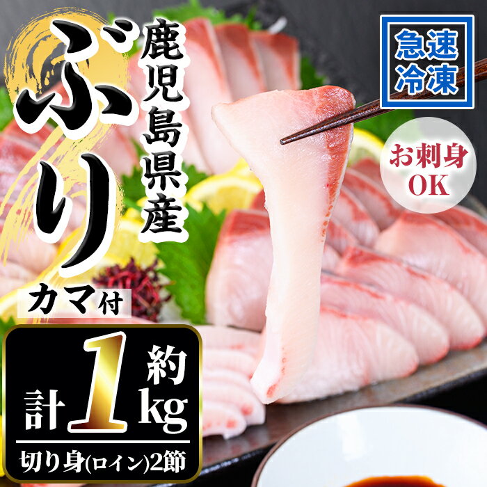 【ふるさと納税】鹿児島県産 冷凍ぶり ロイン2節入・計1kg前後/カマ付 国産 九州産 鹿児島産 魚介 魚 旬 鰤 ブリ ぶり ハマチ はまち 養殖 刺身 お刺身 海鮮丼 漬け丼 ブリ大根 ぶりしゃぶ し…