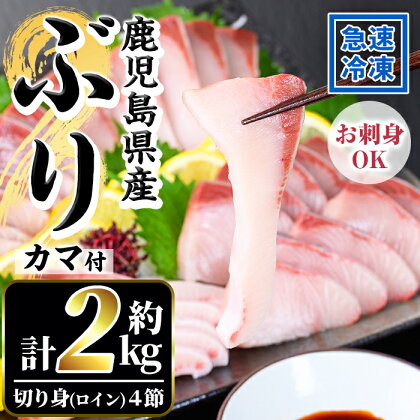 鹿児島県産！冷凍ぶり(ロイン4節入・計2kg前後/カマ付)国産 九州産 鹿児島産 魚介 魚 旬 鰤 ブリ ぶり ハマチ はまち 養殖 刺身 お刺身 海鮮丼 漬け丼 ブリ大根 ぶりしゃぶ しゃぶしゃぶ カマ ブリカマ ロイン 切り身 切身 冷凍【全栄フーズ】