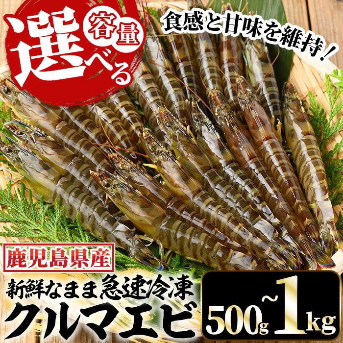 ڤդ뤵Ǽǡ̤ۡ٤롪९ޥ(500g(102)/1kg(104))  彣  û ...