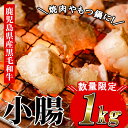 【ふるさと納税】≪数量限定≫鹿児島県産黒毛和牛の小腸 ホルモン(計1kg・700g+300g) しょうちょう ホルモン 