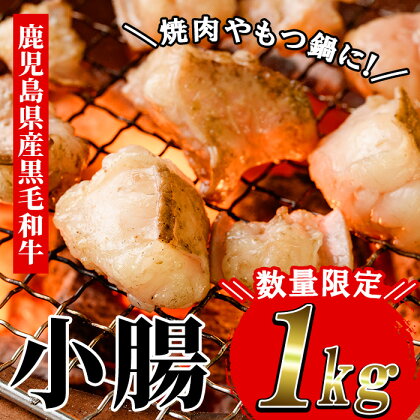 ≪数量限定≫鹿児島県産黒毛和牛の小腸 ホルモン(計1kg・700g+300g) しょうちょう ホルモン もつ鍋 焼肉 鍋 焼肉用 焼き肉 バーベキュー 冷凍 牛肉 肉 もつ モツ 内臓 国産牛 モツ鍋 もつなべ 九州 国産 ギフト 黒毛和牛【バクロ】