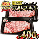 ＜肉質等級5等級＞(K-105)鹿児島黒牛サーロインステーキセット(200g×2P・計400g)日本一に輝いた牛肉をご家庭で！