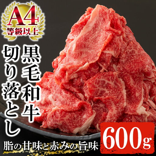【ふるさと納税】鹿児島県産黒毛和牛切り落とし(約600g) A4等級以上 肉 国産 牛 切り落とし 九州 黒毛和牛 和牛 牛肉 牛丼 肉じゃが【バクロ】 【ふるさと納税】鹿児島県産黒毛和牛切り落とし(約600g) A4等級以上 肉 国産 牛 切り落とし 九州 黒毛和牛 和牛 牛肉 牛丼 肉じゃが【バクロ】
