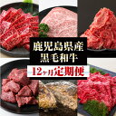【ふるさと納税】<定期便・全12回>黒毛和牛づくし12ヶ月定期便!黒毛和牛 牛肉 サーロインステーキ ロース ヒレ 赤身 サイコロ 切り落とし ハンバーグ もつ...