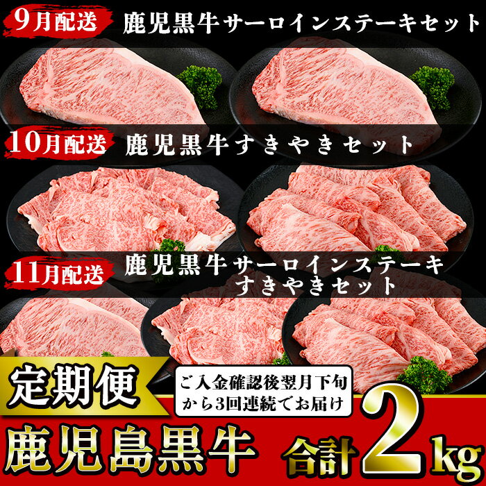 ＜定期便・全3回(9月発送開始)＞鹿児島黒牛定期便！サーロインステーキやリブローススライス、カタローススライス！ご入金確認後翌月下旬から3回連続でお届け！【JAさつま日置農業協同組合】