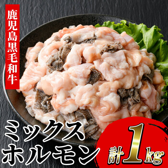 【ふるさと納税】≪数量限定≫黒毛和牛ミックスホルモン(計1.2kg) 牛肉 焼き肉 ホルモン炒め モツ もつ 内臓 国産 九州 肉 和牛 牛 贈答品 ギフト【バクロ】のサムネイル