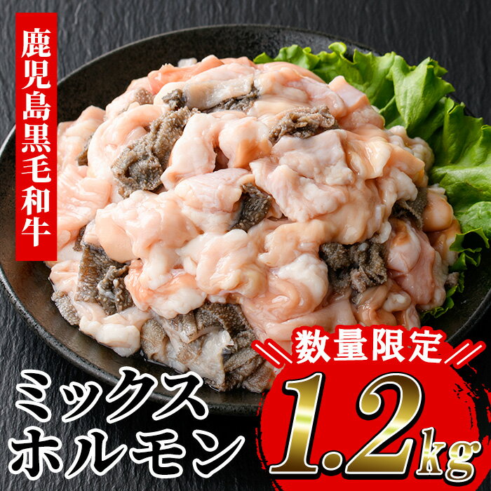 【ふるさと納税】≪数量限定≫黒毛和牛ミックスホルモン 計1.2kg・500g 2P+200g 牛肉 焼き肉 ホルモン炒め モツ もつ 内臓 国産 九州 肉 和牛 牛 贈答品 ギフト【バクロ】