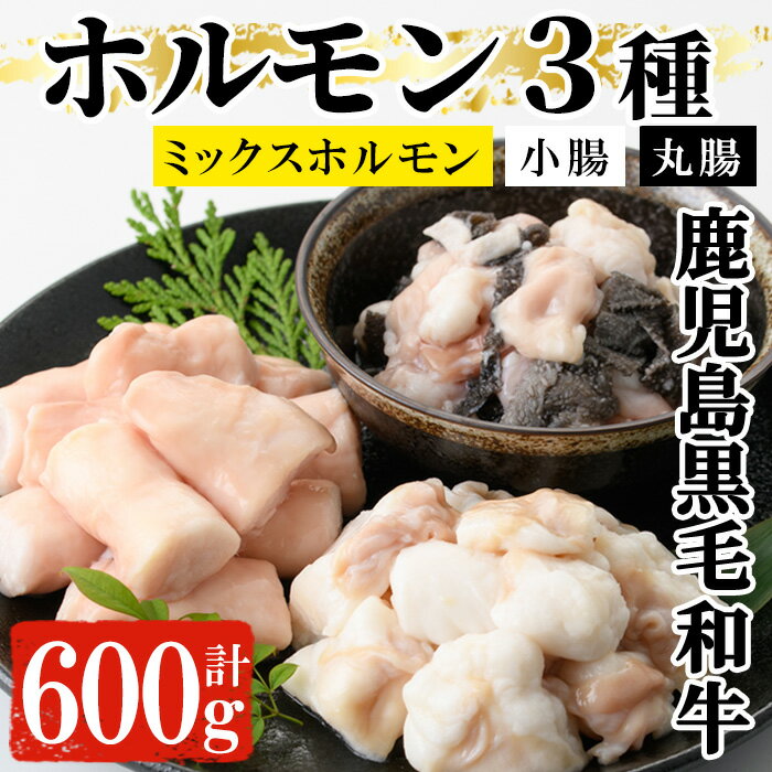 黒毛和牛ホルモン3種盛り合わせ(計600g)!小腸 丸腸 ミックスホルモン 鹿児島県産 牛 牛肉 内臓 ホルモン 肉 国産 九州 焼肉 バーベキュー もつ鍋 ホルモン焼 炒め物 和牛 おかず 冷凍[バクロ]