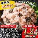 【ふるさと納税】≪数量限定・小分けタイプ≫黒毛和牛ミックスホルモン(計1.2kg・300g×4P) 牛肉 焼き肉 ほるもん ホルモン炒め モツ もつ 内臓 国産...