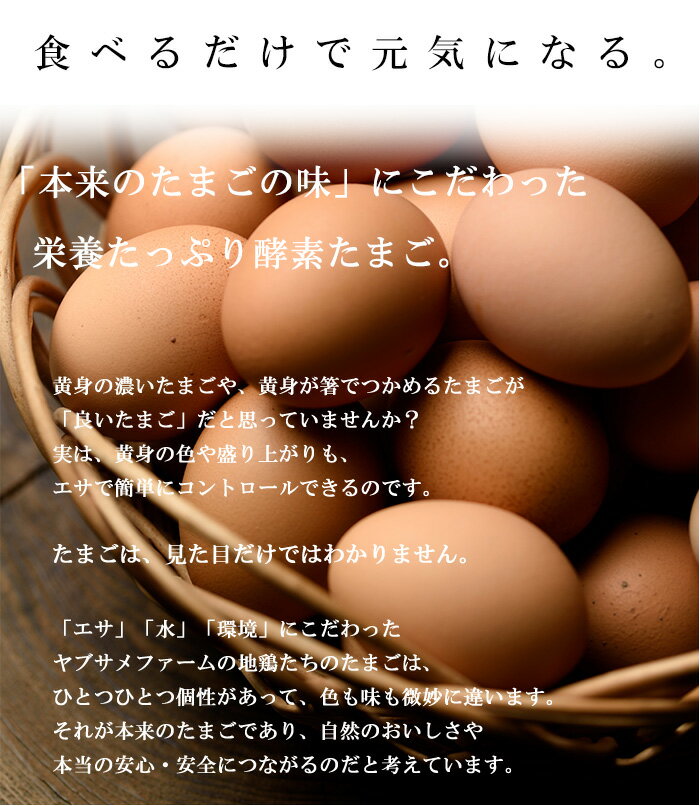 【ふるさと納税】薩摩ヤブサメ酵素卵(60個)本来のたまごの味にこだわったタマゴ！【ヤブサメファーム】