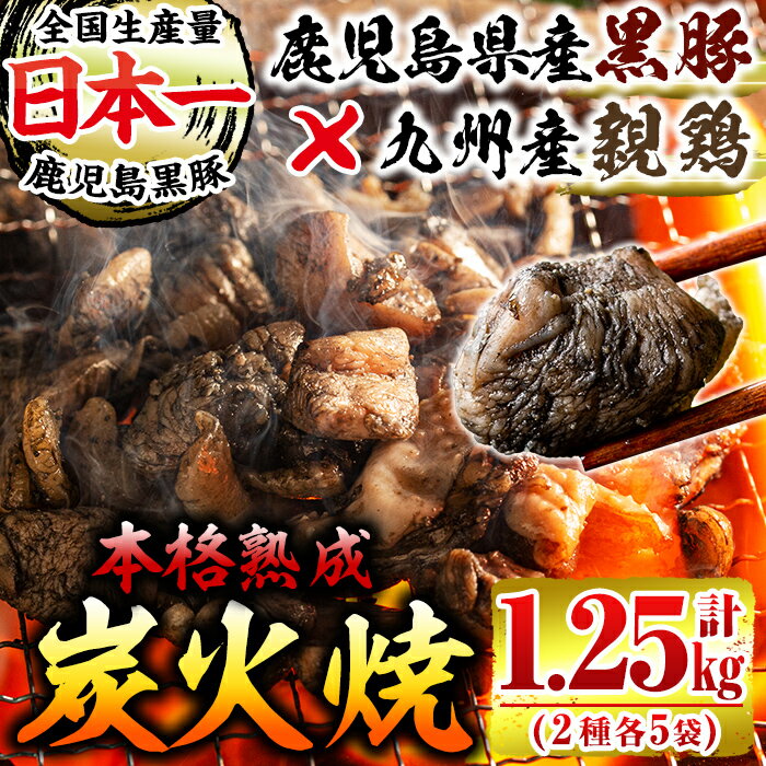 【ふるさと納税】鹿児島県産黒豚炭火焼き・親鶏炭火焼きセット(黒豚肉100g×5袋、鶏肉150g×5袋・計10パック1.25kg)親鶏独特のコリコリ食感を！炭火で丁寧に焼き上げた豚肉と鶏肉の炭火焼！おつまみやおかずに！冷凍便【センターフーズ】