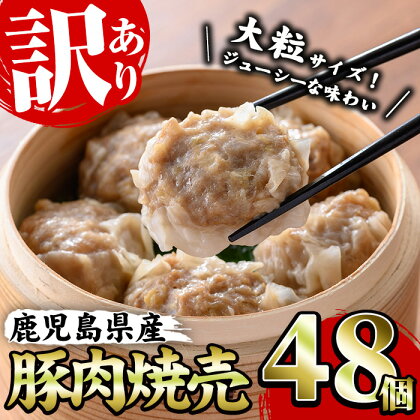 《訳あり・業務用》鹿児島県産豚肉使用！焼売セット (計48個・24個×2P)国産 九州産 鹿児島 豚 肉 ブタ シュウマイ しゅうまい シューマイ 中華 大粒 冷凍 レンジ 惣菜 時短 冷凍 食卓 夕食 弁当 おかず【鹿児島協同食品】