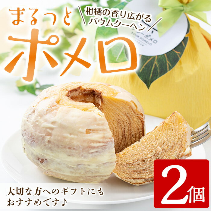 1位! 口コミ数「0件」評価「0」＜数量限定＞鹿児島県産サワーポメロをふんだんに使用！まるっとポメロ(2個) 国産 九州産 スイーツ バウムクーヘン ケーキ お菓子 洋菓子 ･･･ 