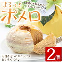 16位! 口コミ数「0件」評価「0」＜数量限定＞鹿児島県産サワーポメロをふんだんに使用！まるっとポメロ(2個) 国産 九州産 スイーツ バウムクーヘン ケーキ お菓子 洋菓子 ･･･ 