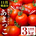 【ふるさと納税】≪11月発送分≫稀少ミニトマト あまっこ 絶...