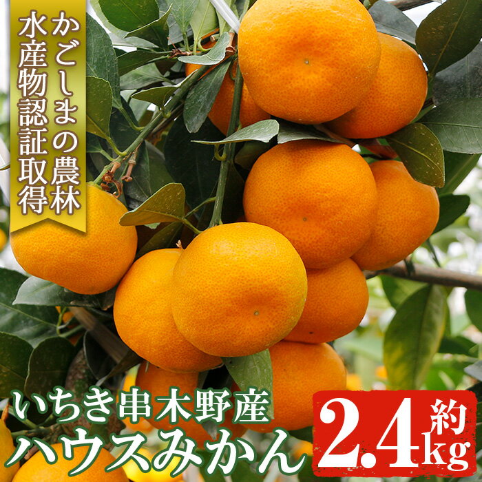 4位! 口コミ数「0件」評価「0」＜先行予約受付中！2024年7月上旬より発送予定＞安心安全！鹿児島県産ハウスみかん(約2.4kg化粧箱×1箱) 国産 九州産 鹿児島県産 ミ･･･ 