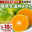 【ふるさと納税】<先行予約受付中!2025年10月中旬頃より順次発送予定><容量選べる!>極早生温州みかん(約5kg / 約10kg) 国産 鹿児島県産 いちき串木野市産 蜜柑 みかん ミカン うんしゅう 柑橘 柑橘類 果物 果実 フルーツ 産地直送 数量限定 期間限定【池之上果樹園】