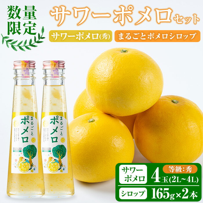 [先行予約受付中!2026年2月中旬頃より順次発送予定]サワーポメロ[等級:秀](4玉・2L〜4L)とまるごとポメロシロップ(165g×2本)セット!鹿児島県産 サワーポメロ 大橘 柑橘 文旦 パール柑 フルーツ 果物 みかん 常温 旬 シロップ 果汁 果実[西果樹園]