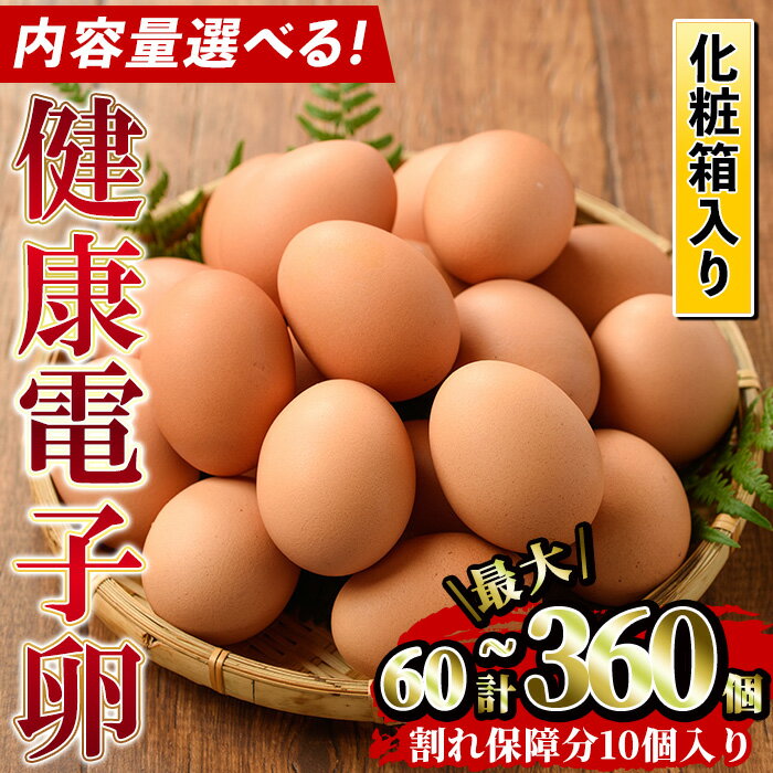 [数量限定・内容量選べる]鹿児島県産!健康電子卵(計60個/計80個/計120個/全6回定期便) 国産 九州産 たまご タマゴ 玉子 生たまご 親鳥 親鶏 新鮮 鶏卵 常温 毎月 連続 小分け パック 朝ごはん おかず 割れ保障 安心 安全[峯元養鶏]