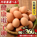 10位! 口コミ数「3件」評価「5」《数量限定・内容量選べる》鹿児島県産！健康電子卵(計60個/計80個/計120個/全6回定期便) 国産 九州産 たまご タマゴ 玉子 生たま･･･ 