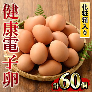 【ふるさと納税】《数量限定》鹿児島県産！健康電子卵(計60個・10個入り×6P)電子イオンを与えた水と飼料で体質改善された親鶏から生まれた新鮮なタマゴ！小分けパック入り【峯元養鶏】